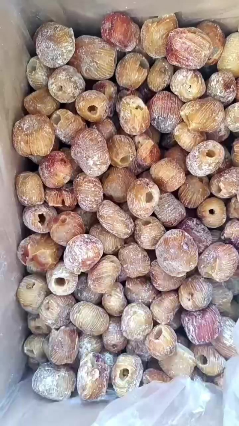 蜜枣**电商
