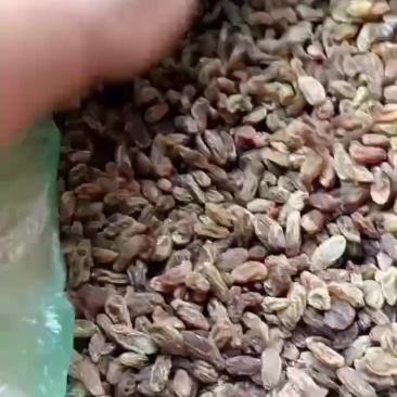 葡萄干**电商