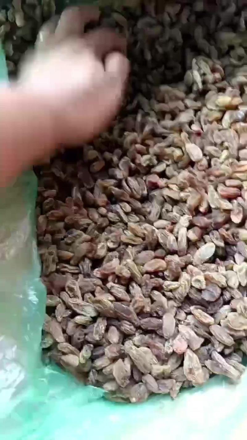 葡萄干**电商