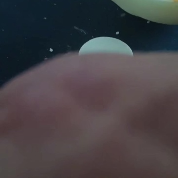 酥红密甜瓜