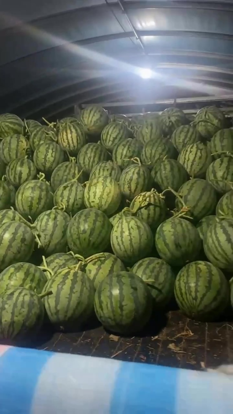 精品麒麟二茬大量有货。