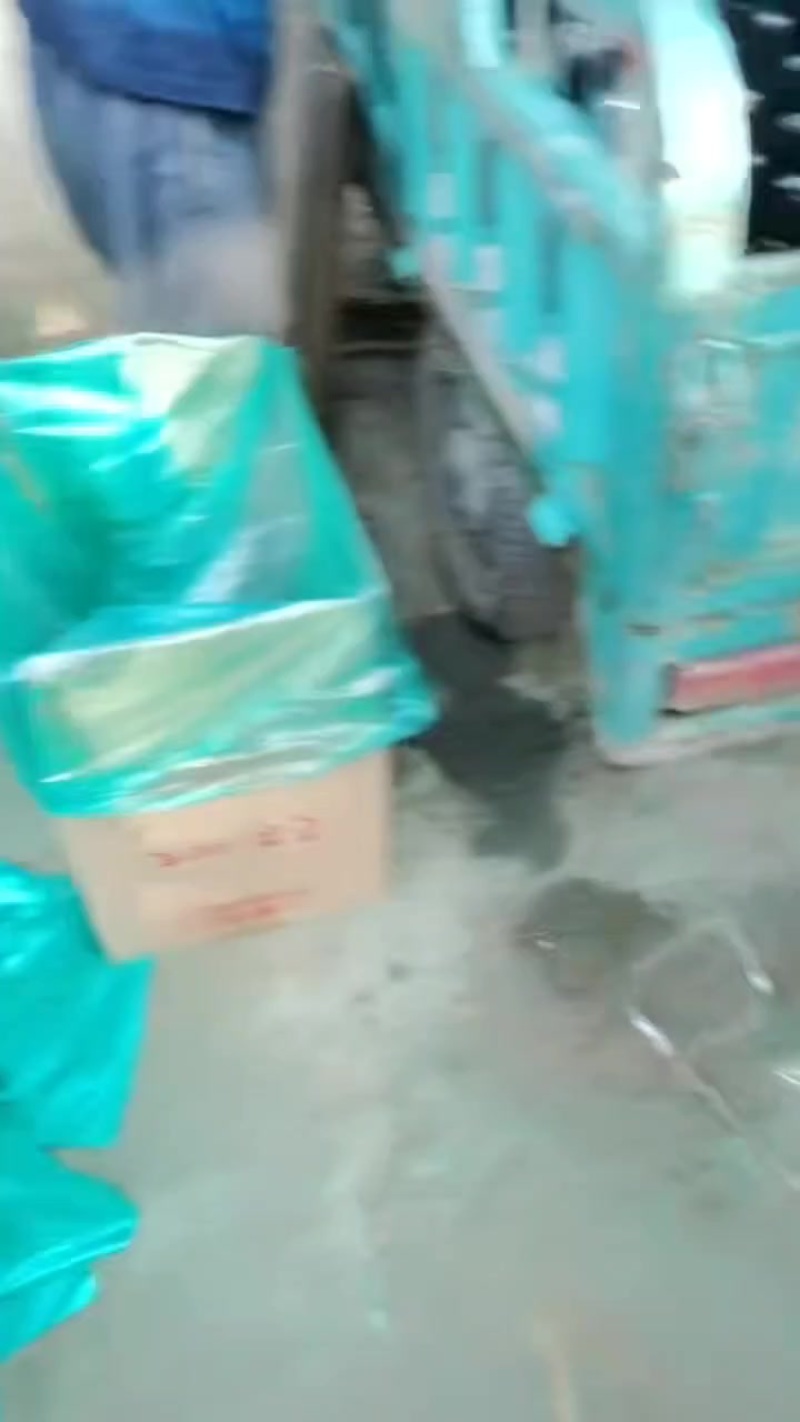 茄子