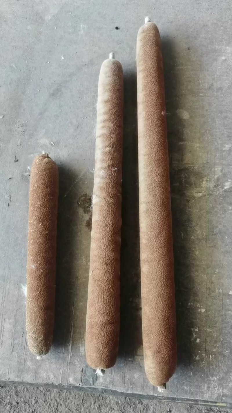 蒲棒