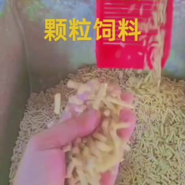 玉米豆粕颗粒饲料发酵