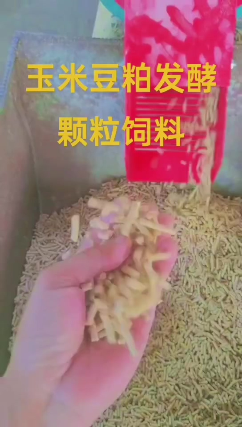 玉米豆粕颗粒饲料发酵