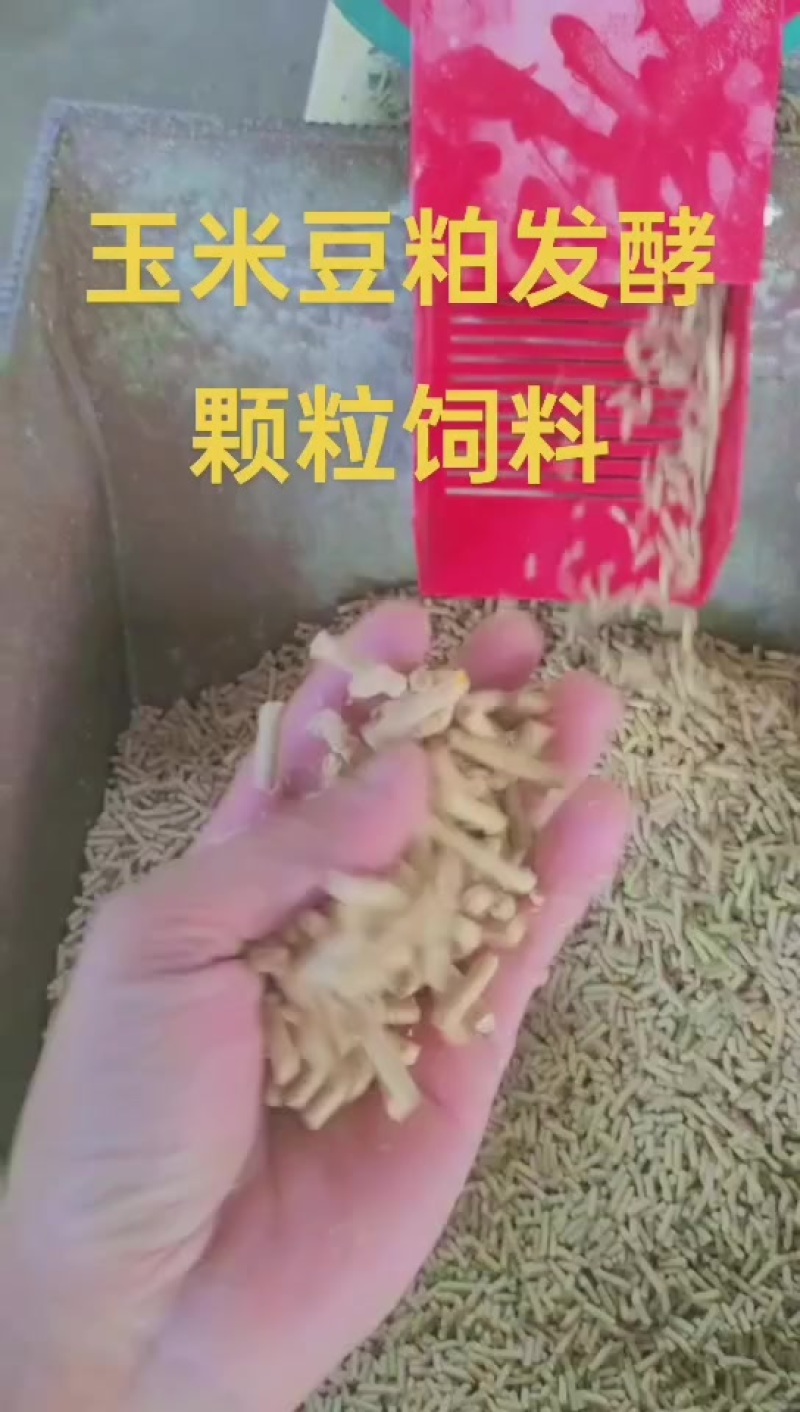 玉米豆粕颗粒饲料发酵