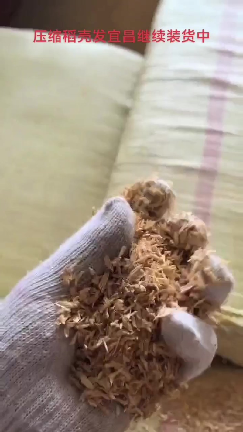 压缩稻壳发宜昌装货中
