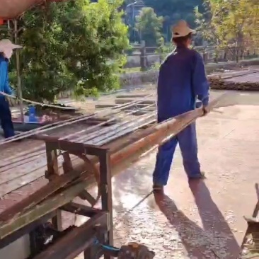 西瓜大棚片，羊肚菌大棚片