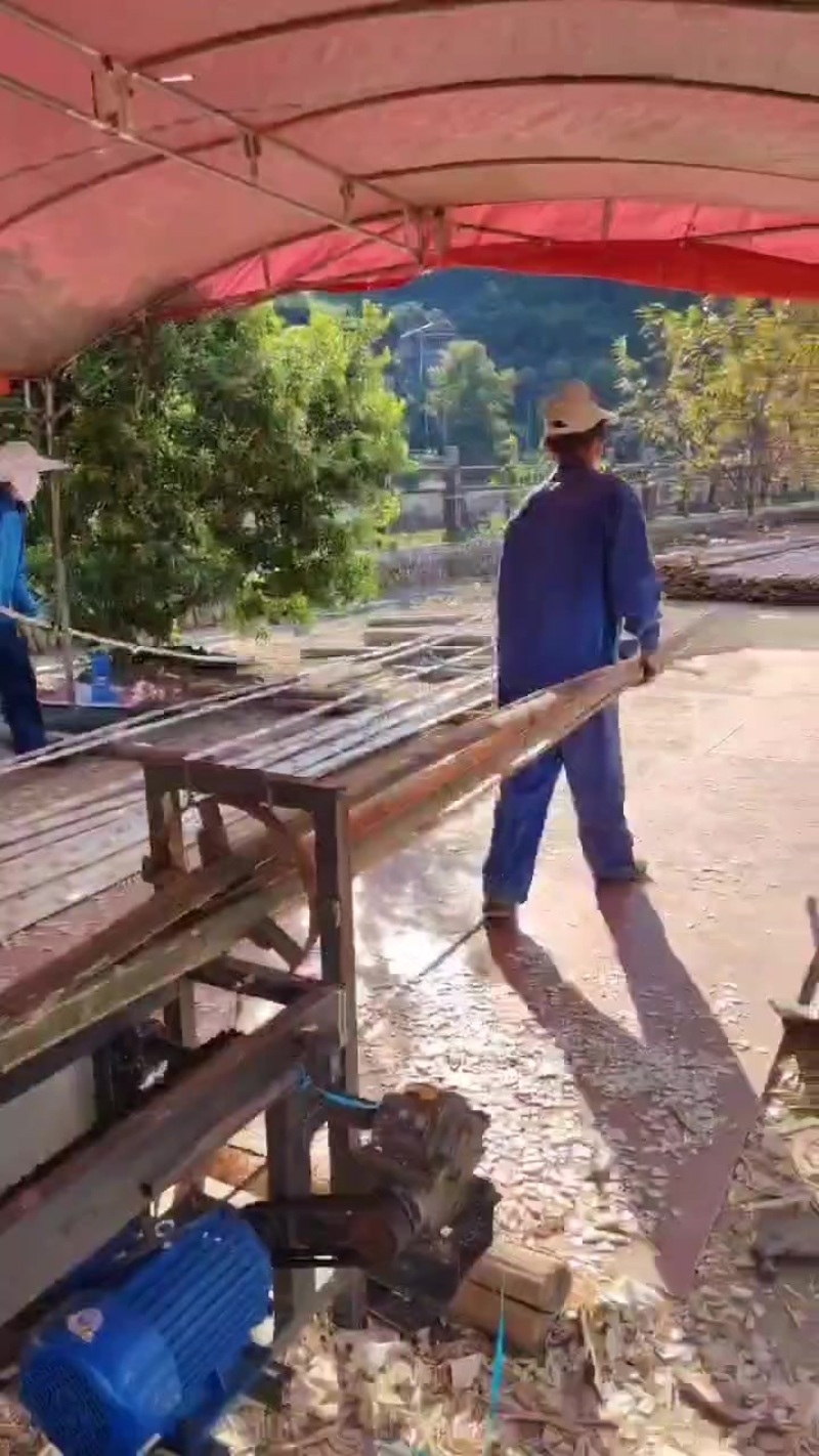 西瓜大棚片，羊肚菌大棚片