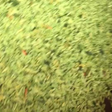 小米辣