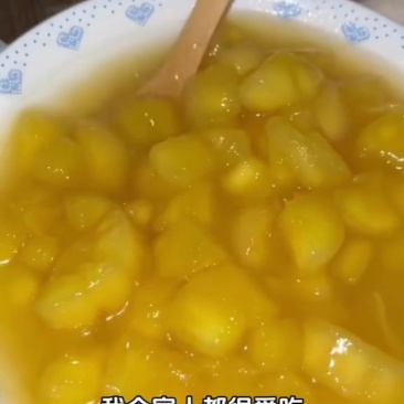 黄金木薯！