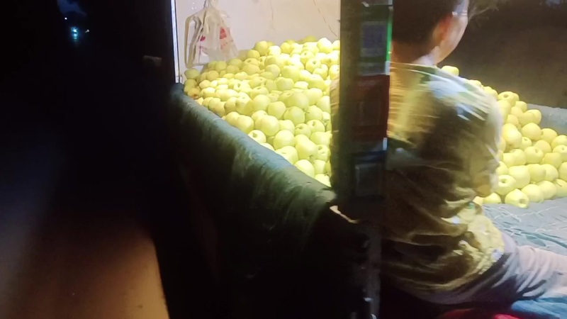 陕西乾县山沟酥梨，品质赢天下。信誉果业欢迎天下新老客户！