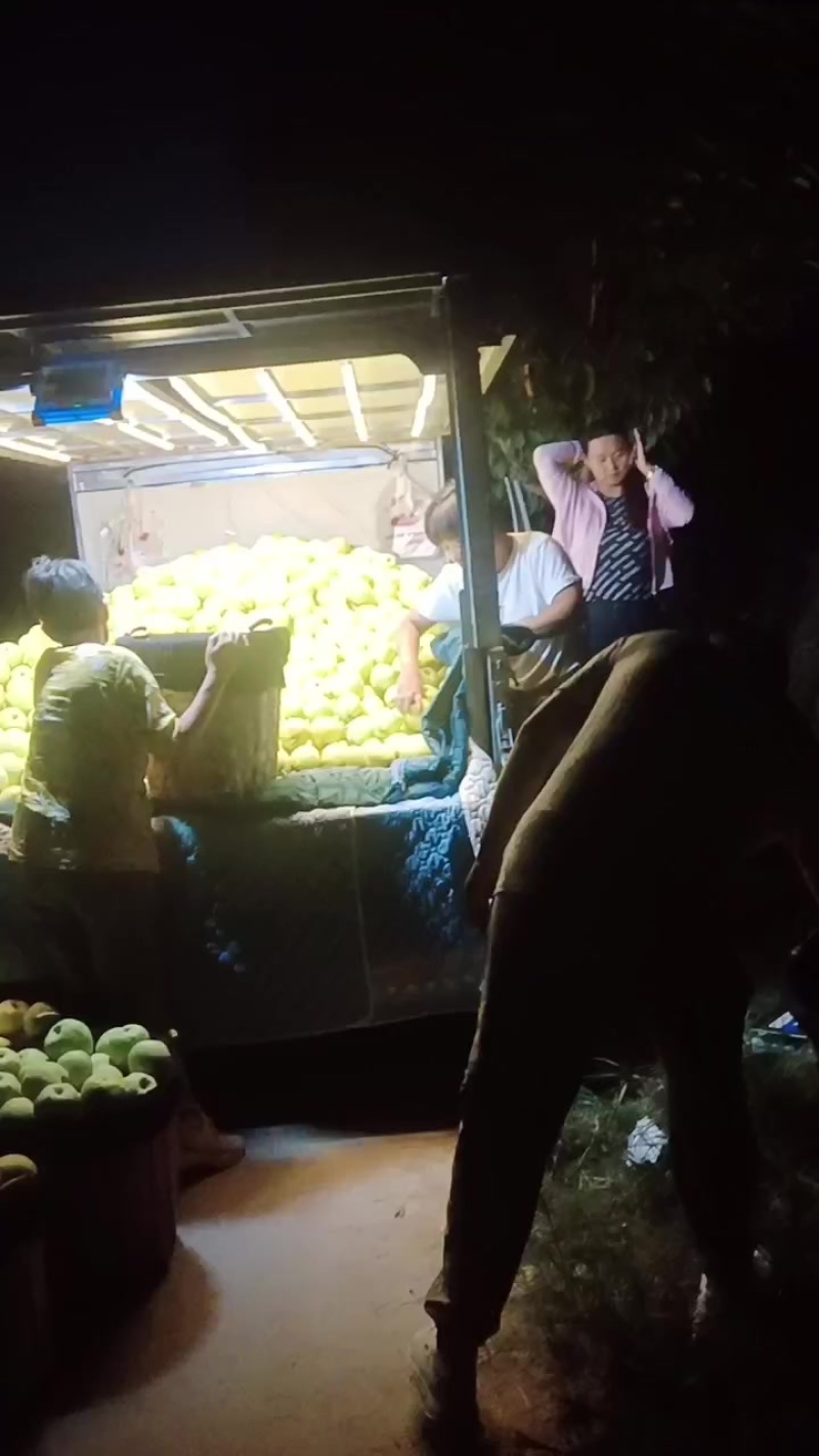 陕西乾县山沟酥梨，品质赢天下。信誉果业欢迎天下新老客户！