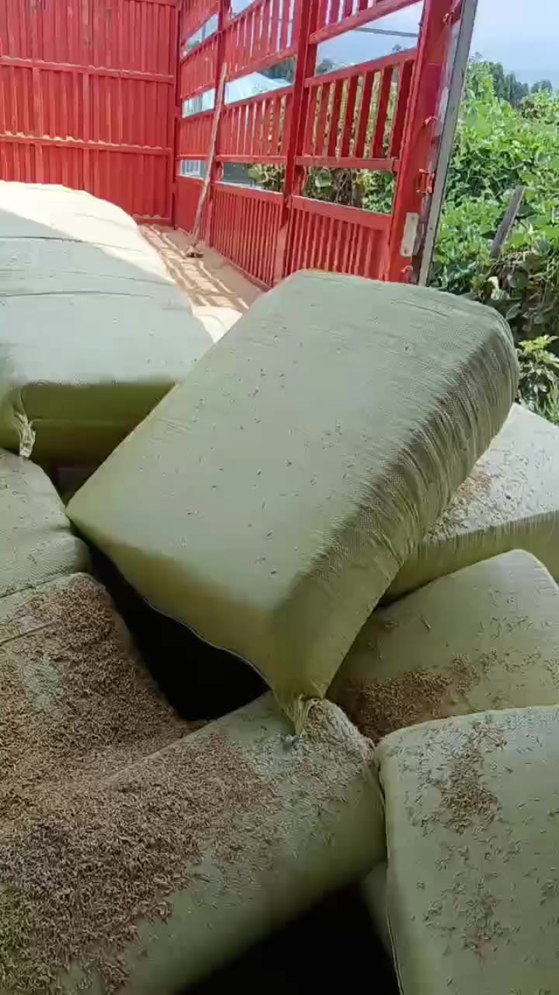 压缩稻壳发四川卸货中