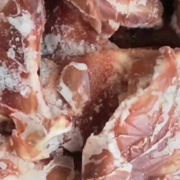 扇骨满肉