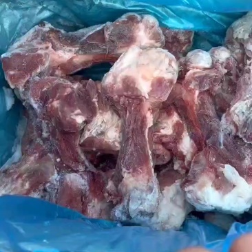 后棒骨