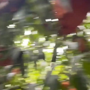 黄桃