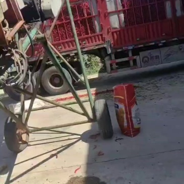 三号线椒