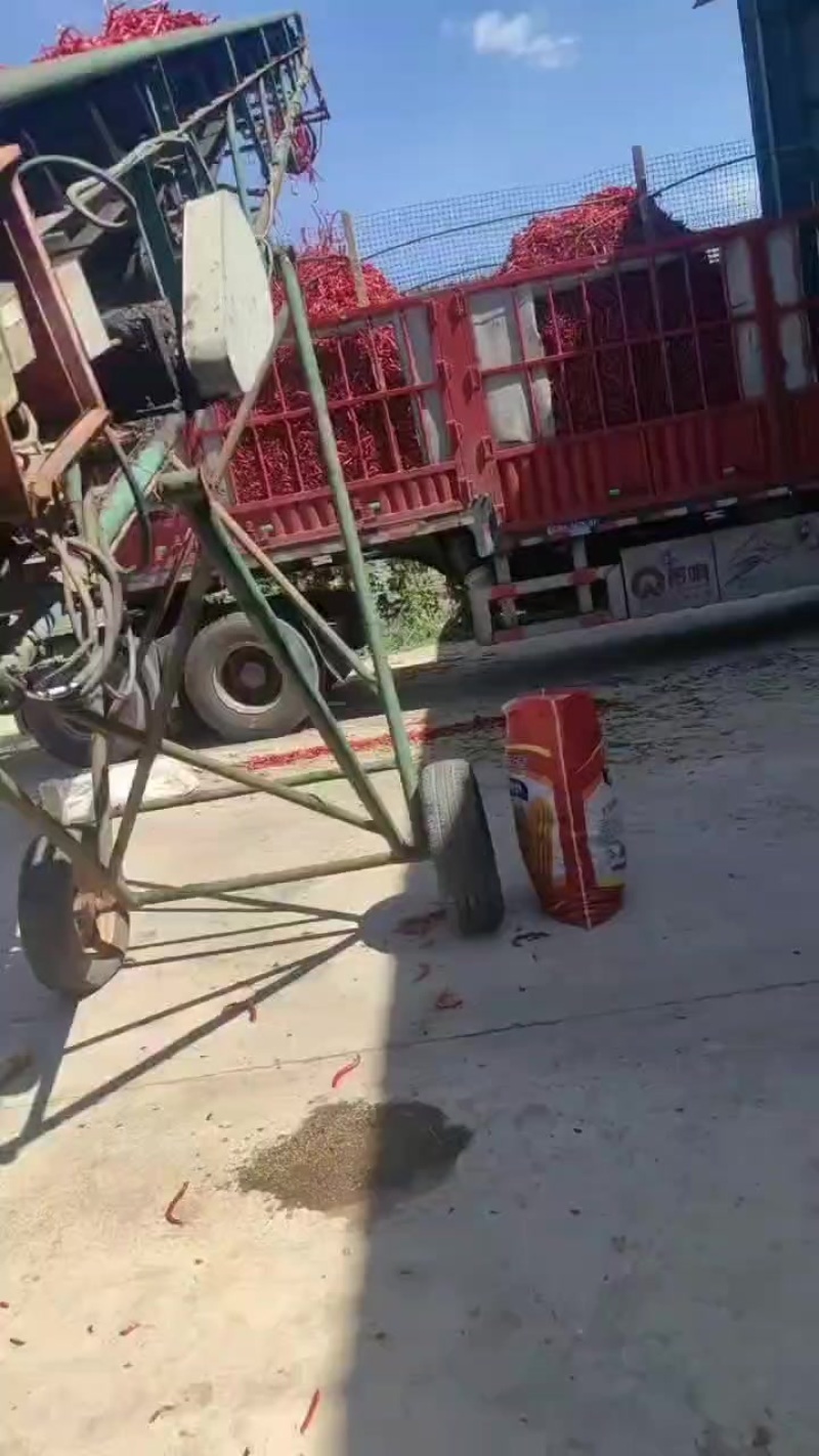 三号线椒