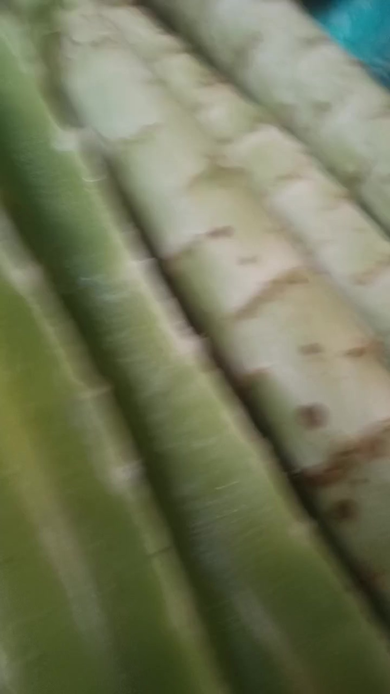 莴笋杆大量有货