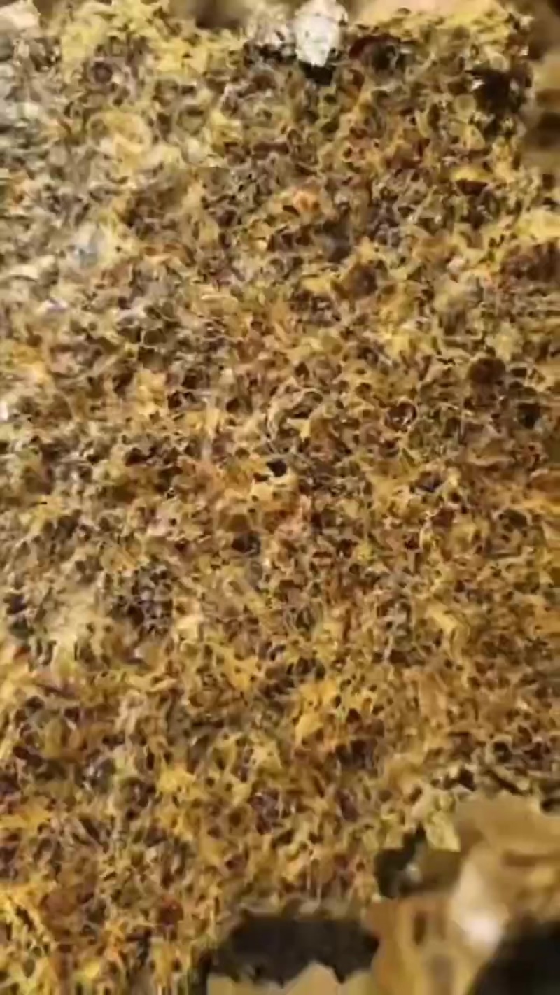 棉籽饼，肥料饼