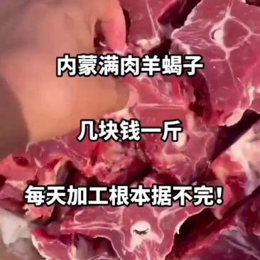 羊蝎子厂家直销量大从优