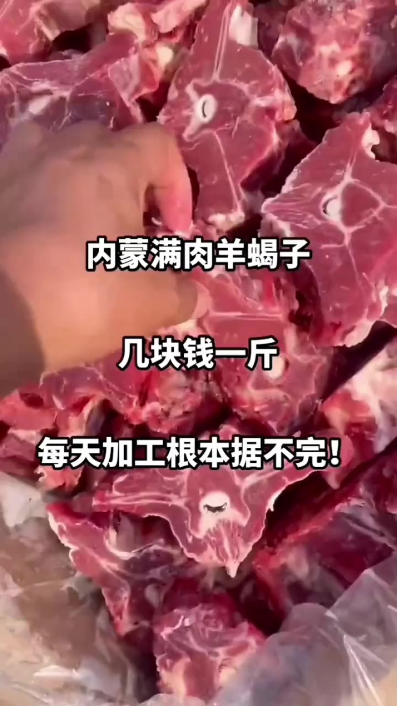 羊蝎子厂家直销量大从优