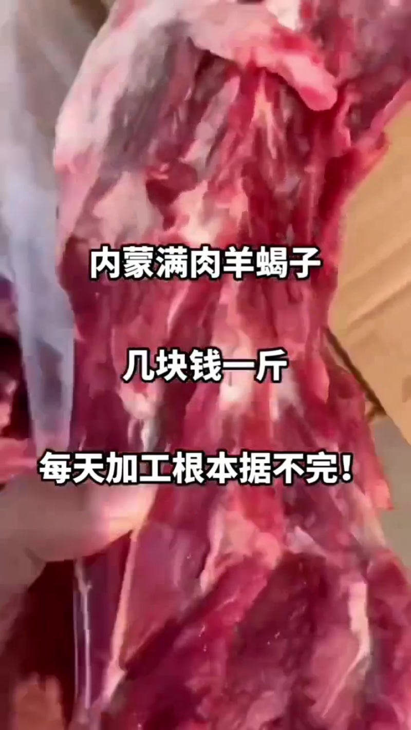 羊蝎子厂家直销量大从优