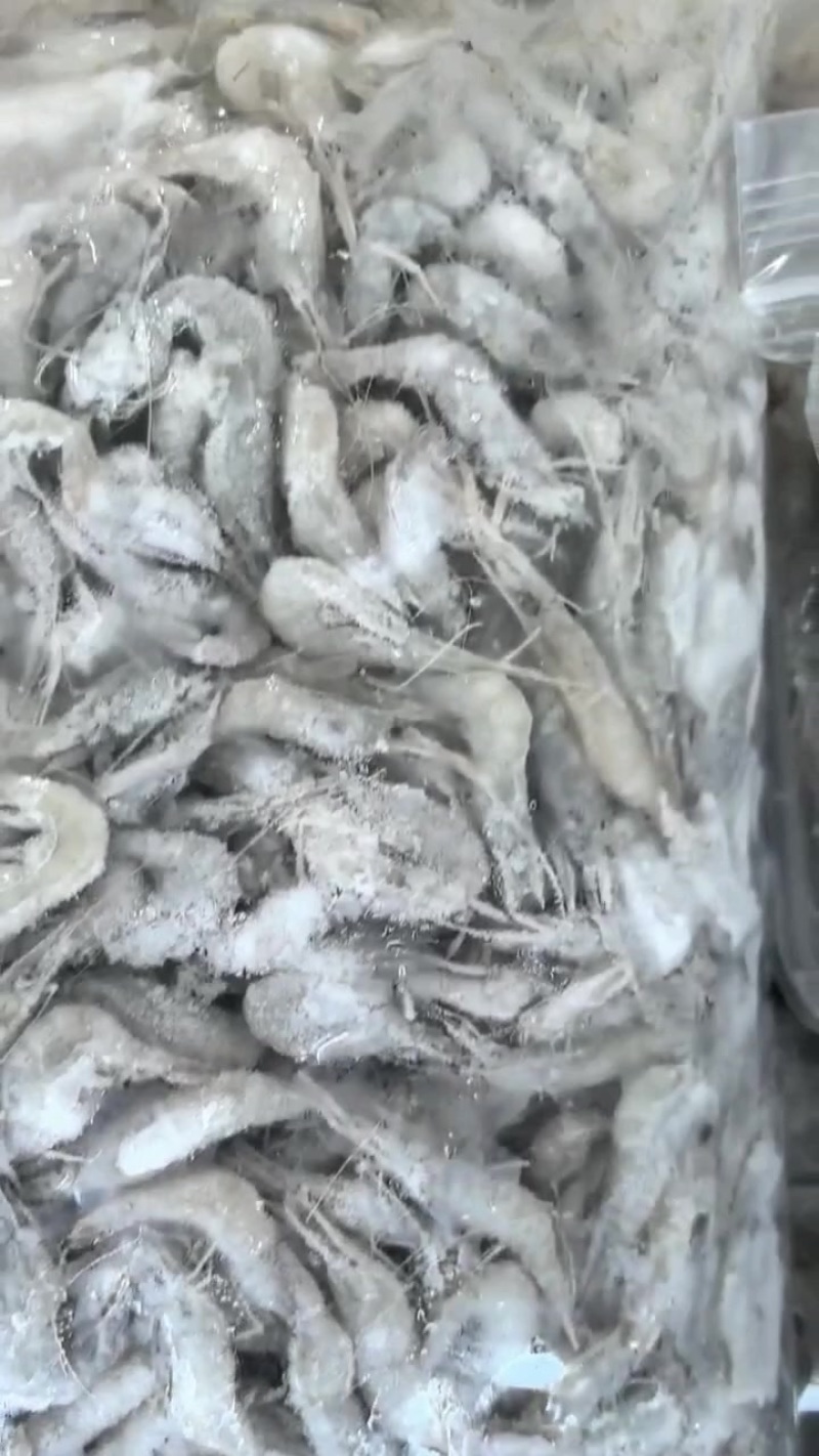 优质河虾，可活，可冰鲜，可速冻。