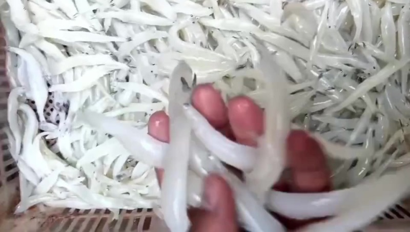就这质量