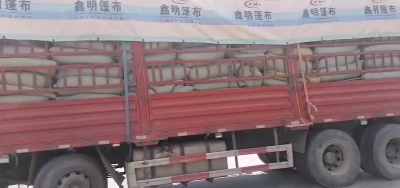 青桑叶六十吨，含量0.153