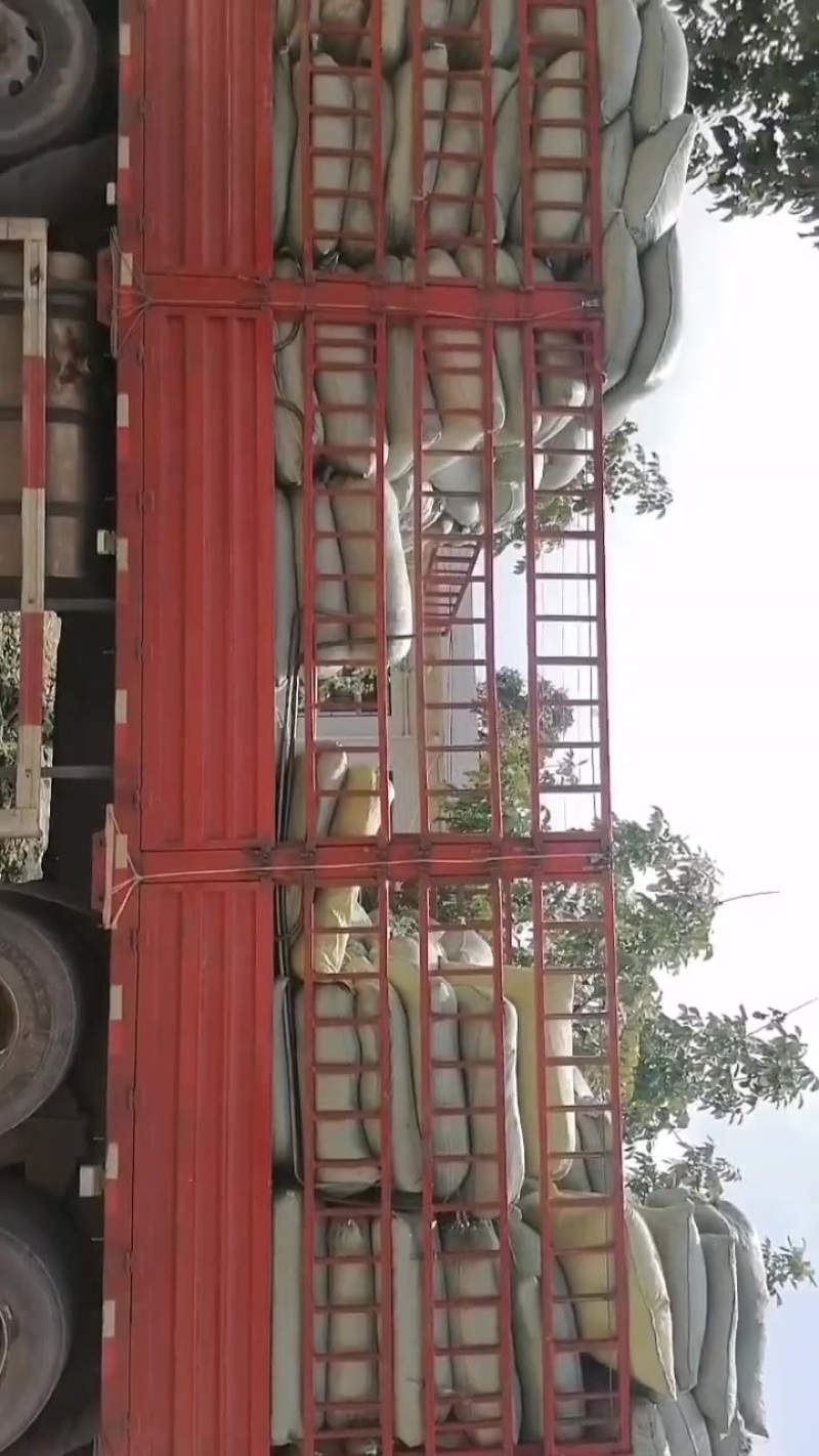 青桑叶六十吨，含量0.153