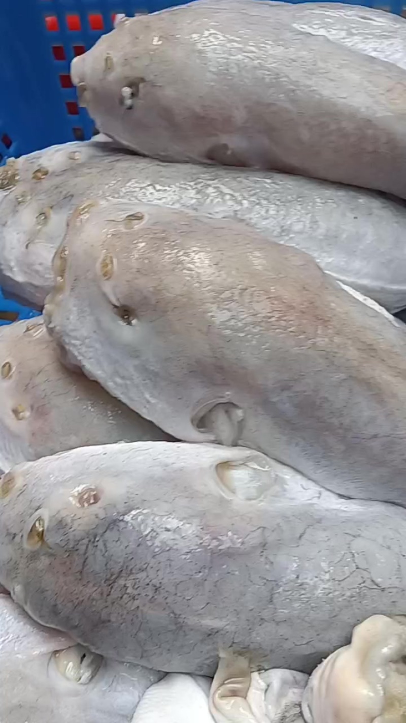 新鲜宰杀