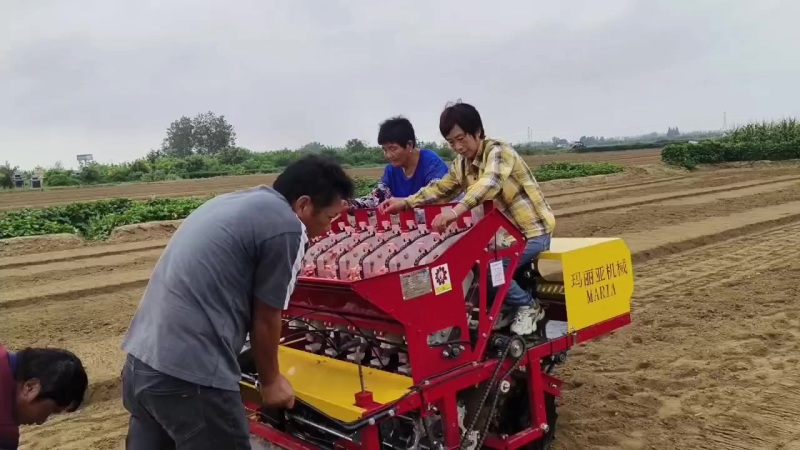 玛丽亚大蒜正芽播种机