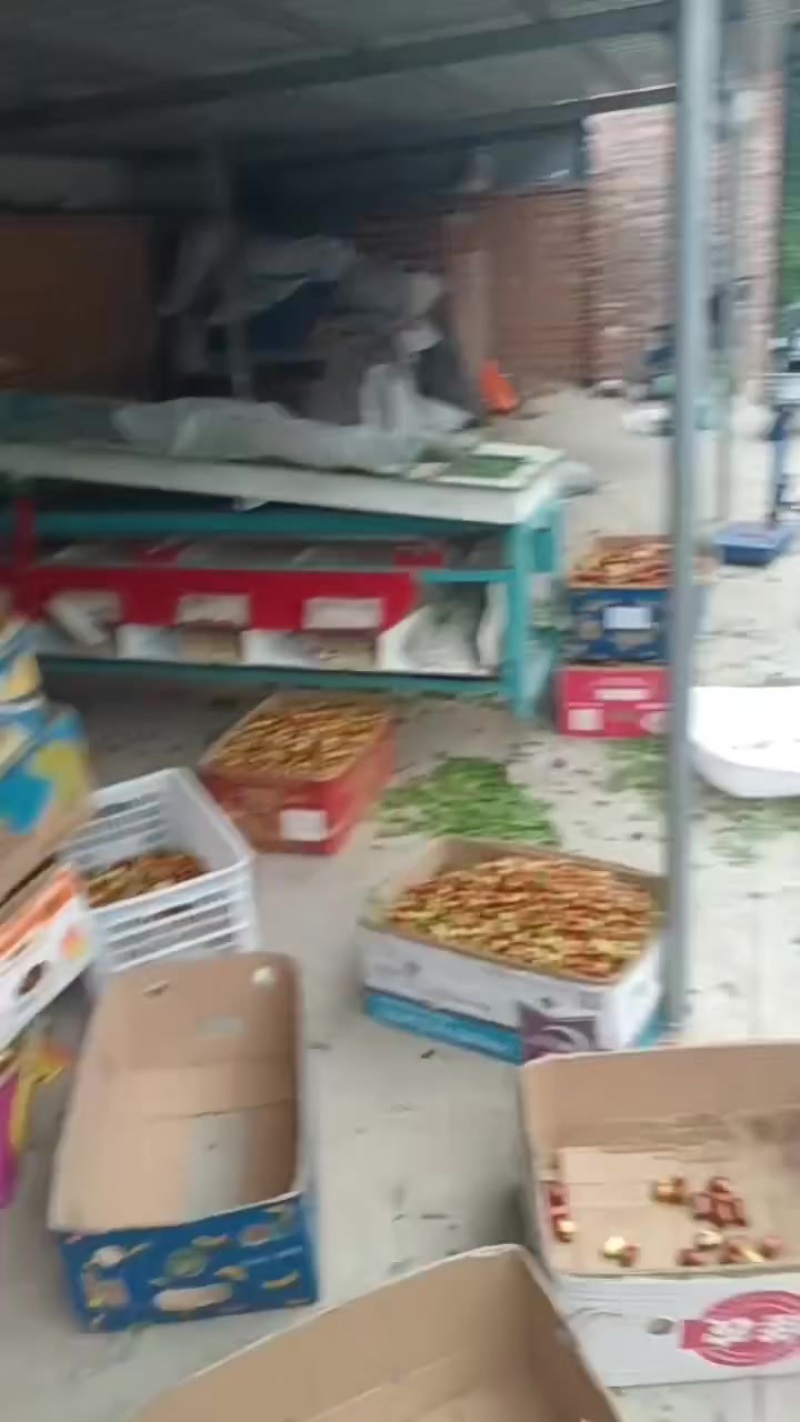 朝阳大枣