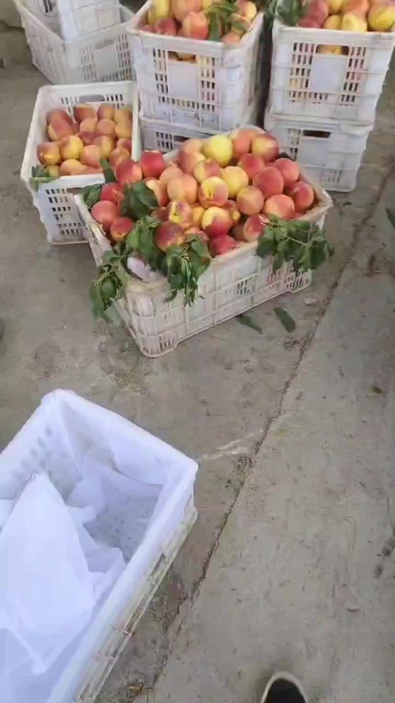 美国一号
