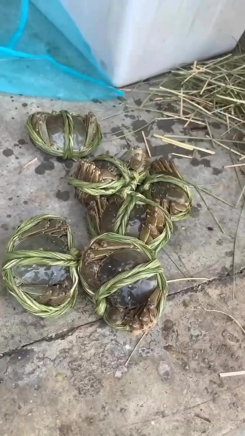 大闸蟹