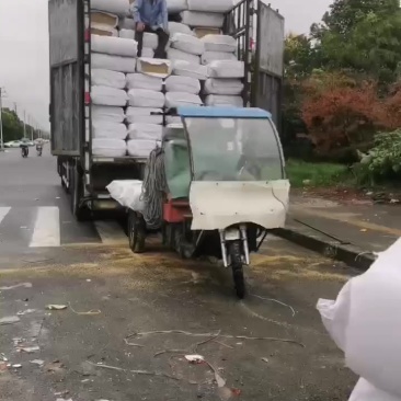 压缩稻壳到达宁波卸货中