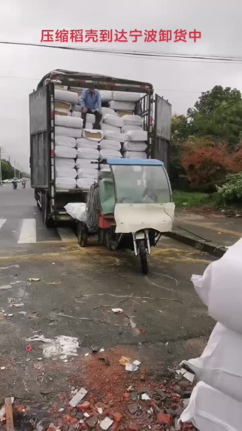 压缩稻壳到达宁波卸货中