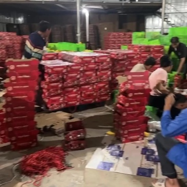 精品石榴会理突尼斯软籽石榴果型好汁水饱满