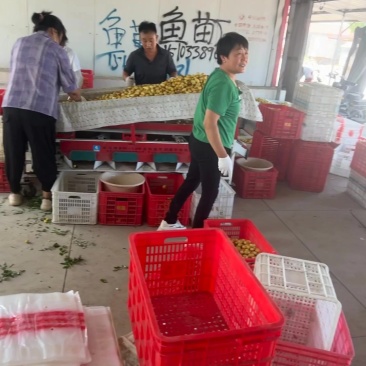 马奶上量了，便宜
