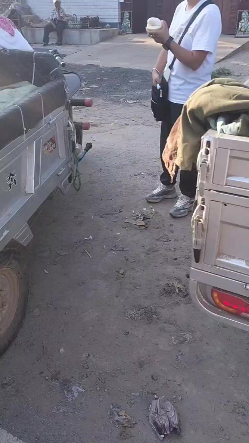 鸭梨