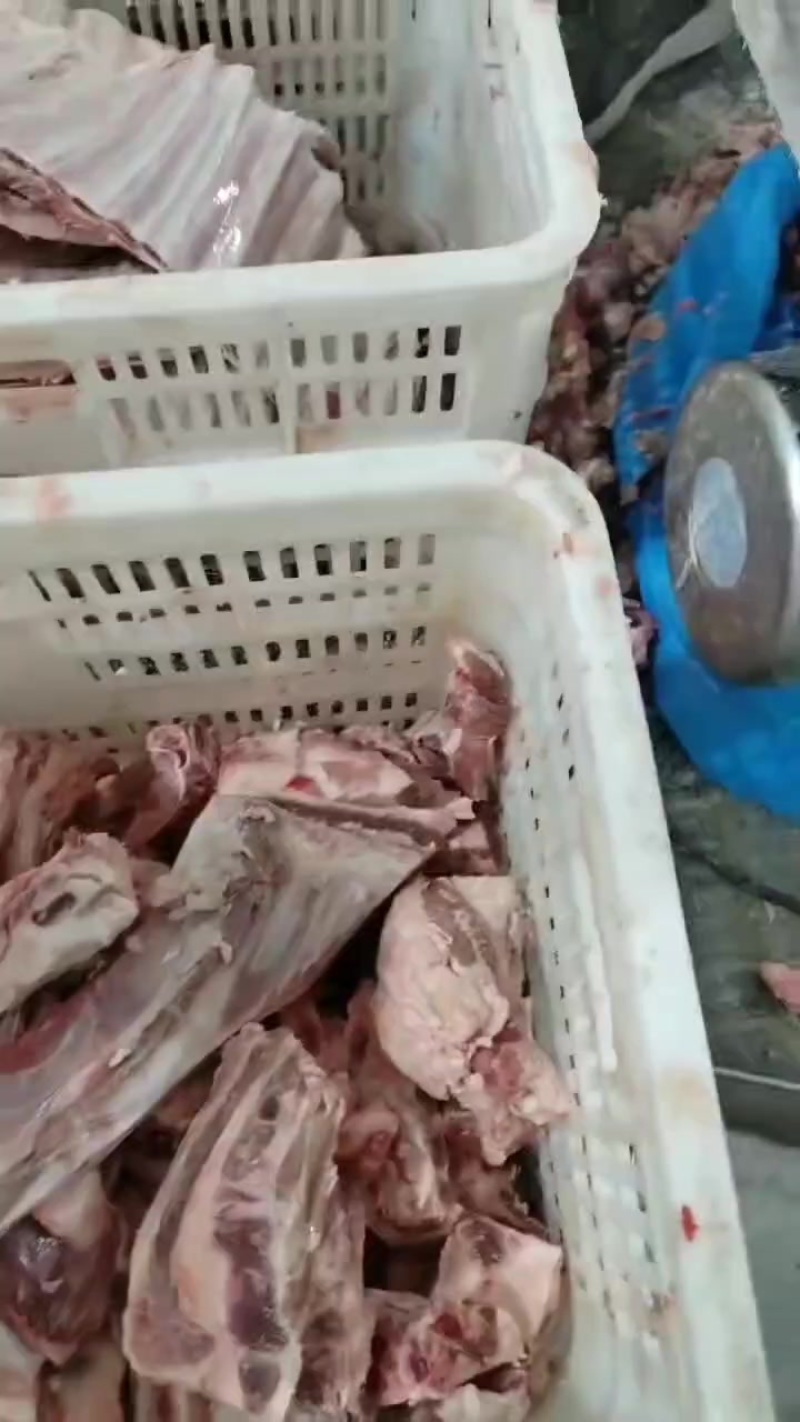 大羊肋排块