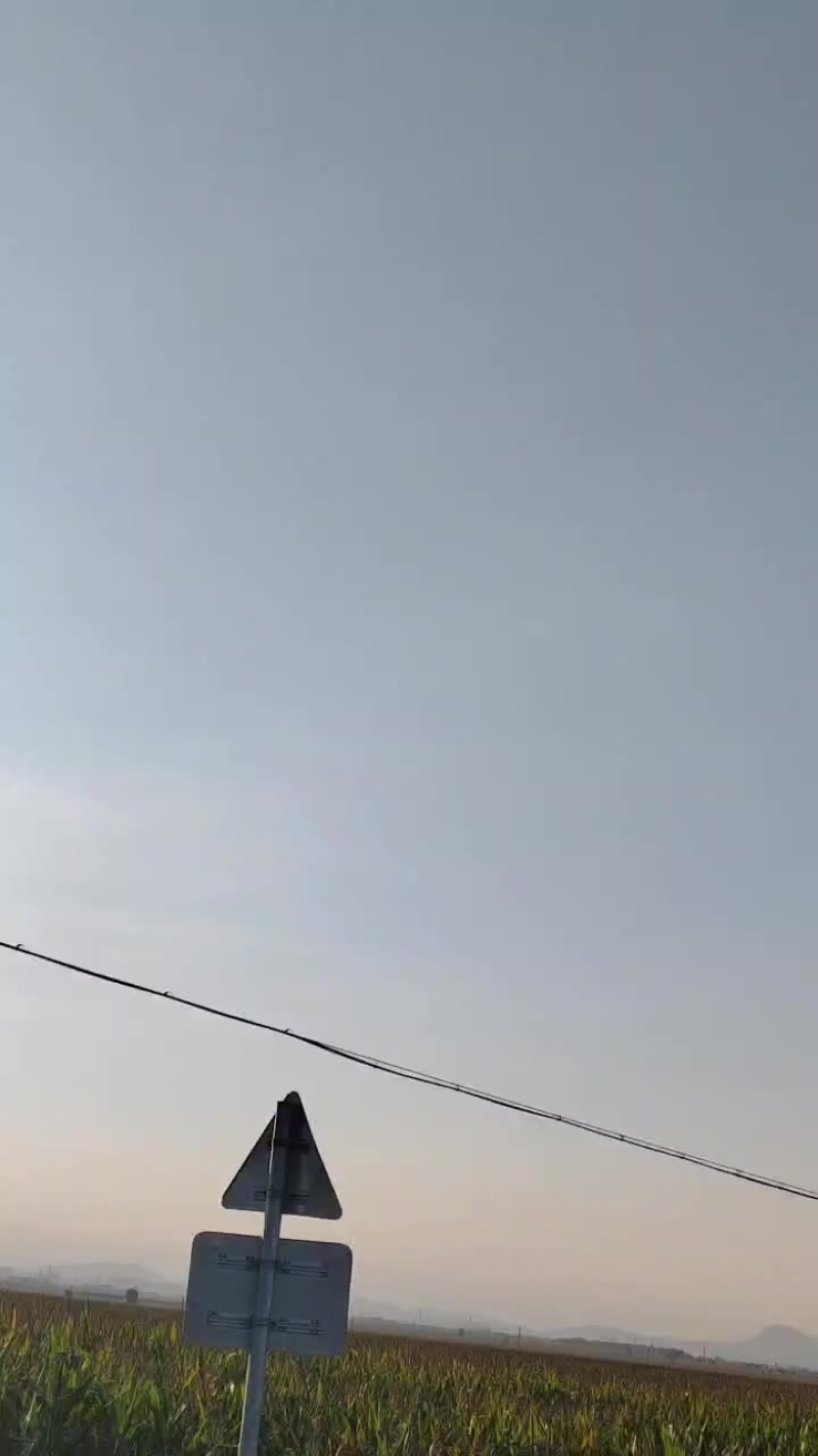 土地流转