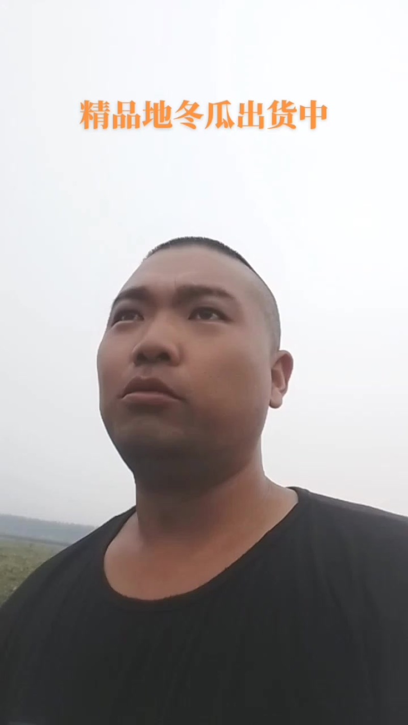 黑皮冬瓜出售中