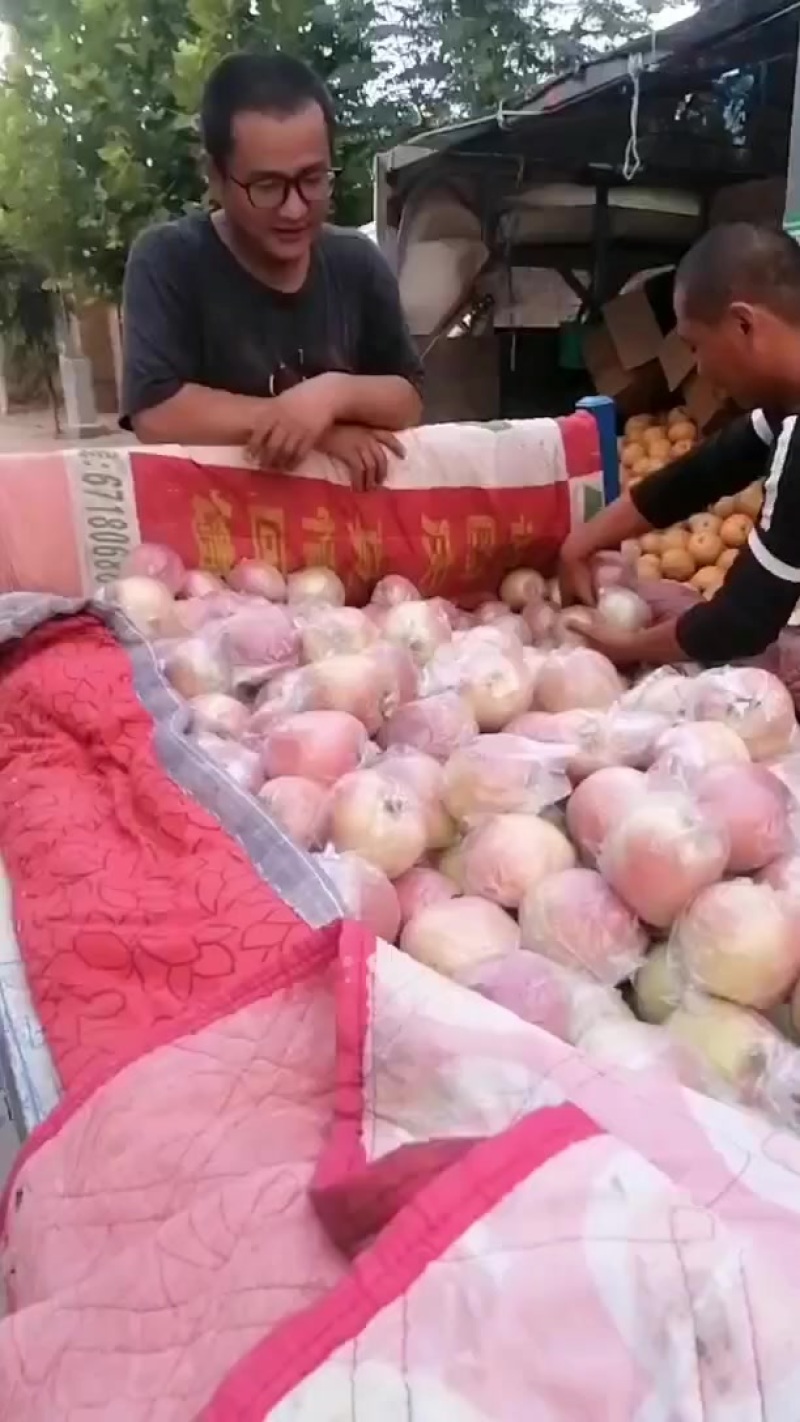 冠县苹果，欢迎选购