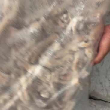 无骨鸡爪产地直发新鲜到家24小时在线客服支持