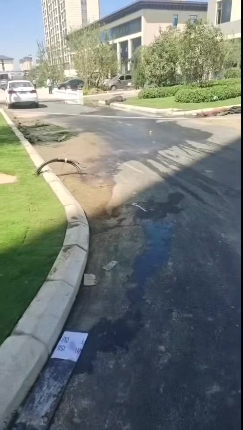 百慕大草坪，基地直销大量现货供应，自产自销，物美价廉