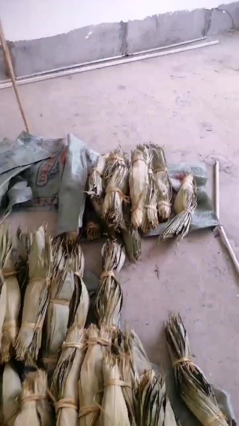 全干的粽子叶，需要的老板联系我