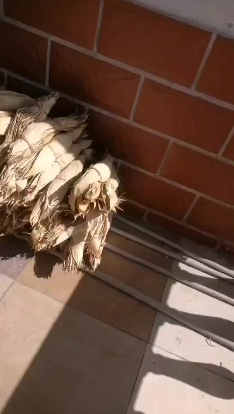 全干的粽子叶，需要的老板联系我